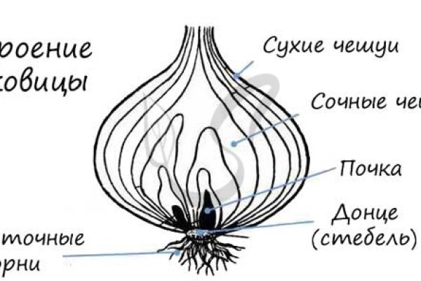 Регистрация в kraken