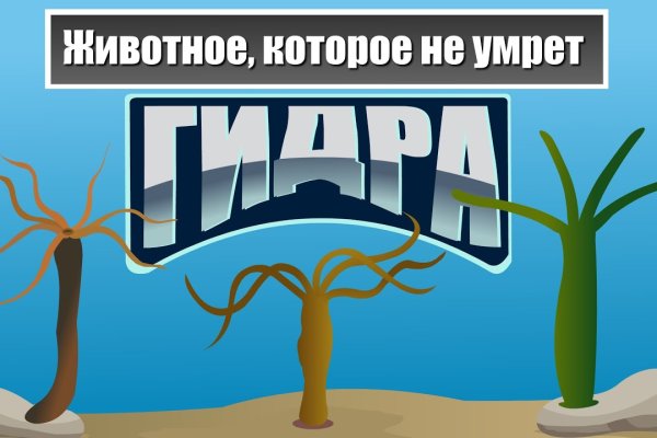 Kraken сайт tor